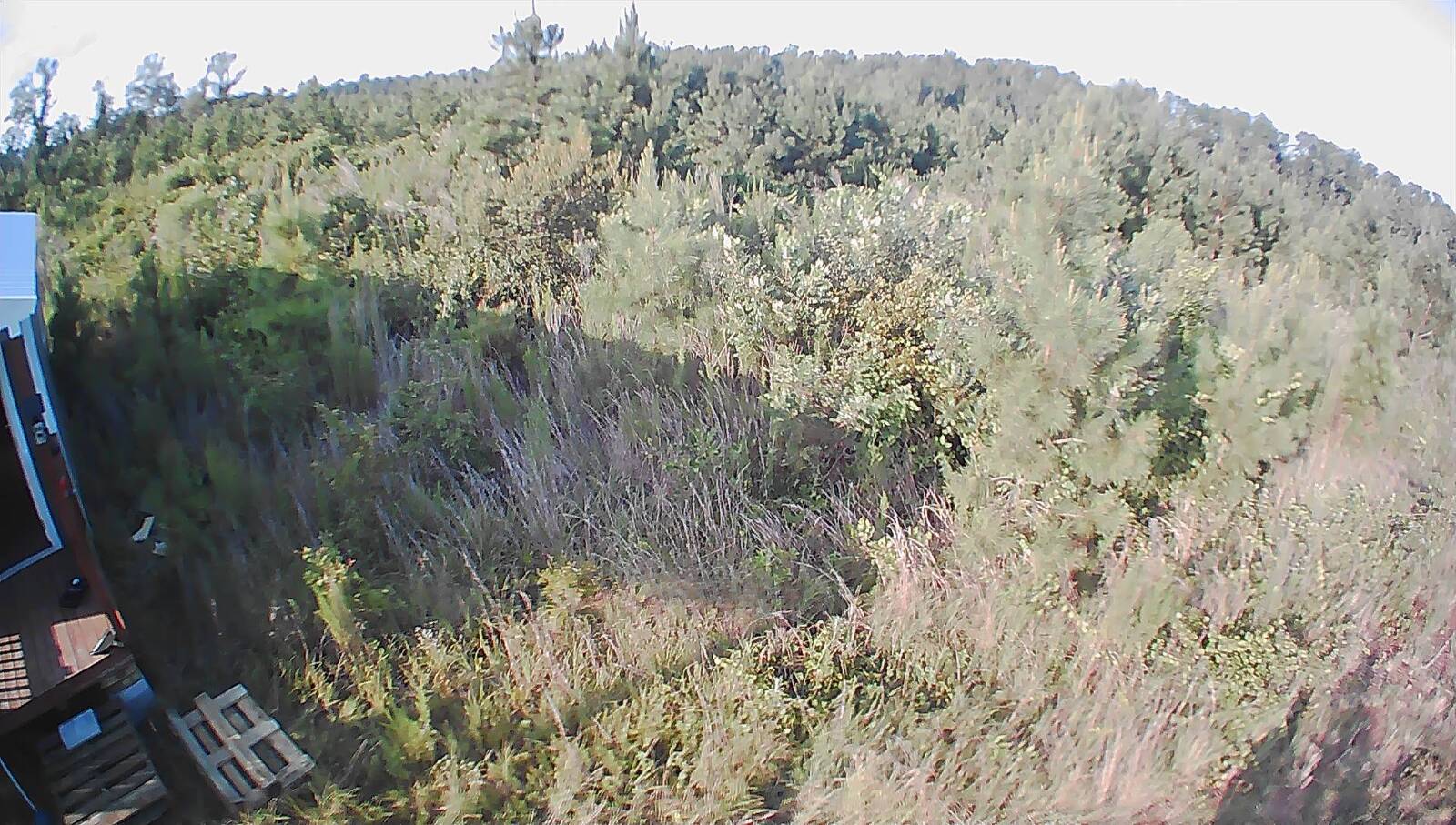 Farm Land
